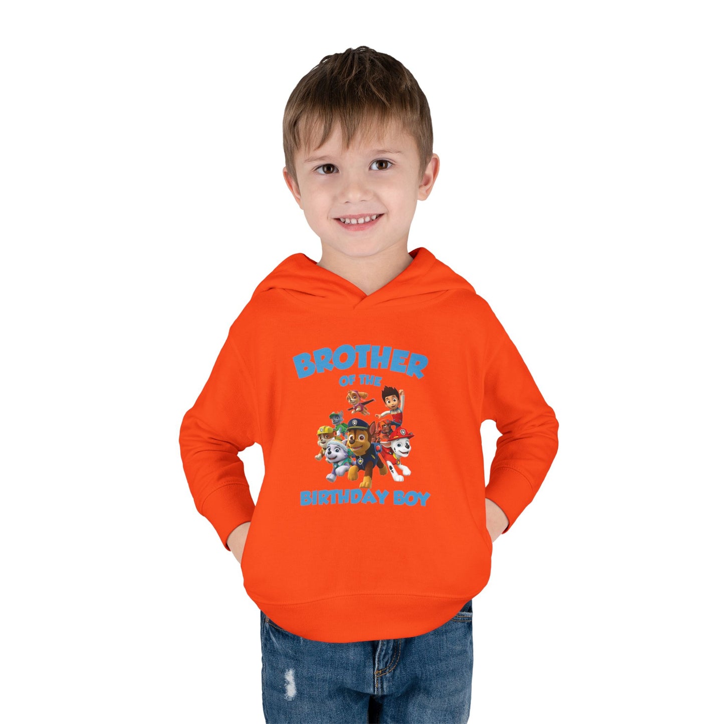 Birthday Boy's Brother Toddler Hoodie