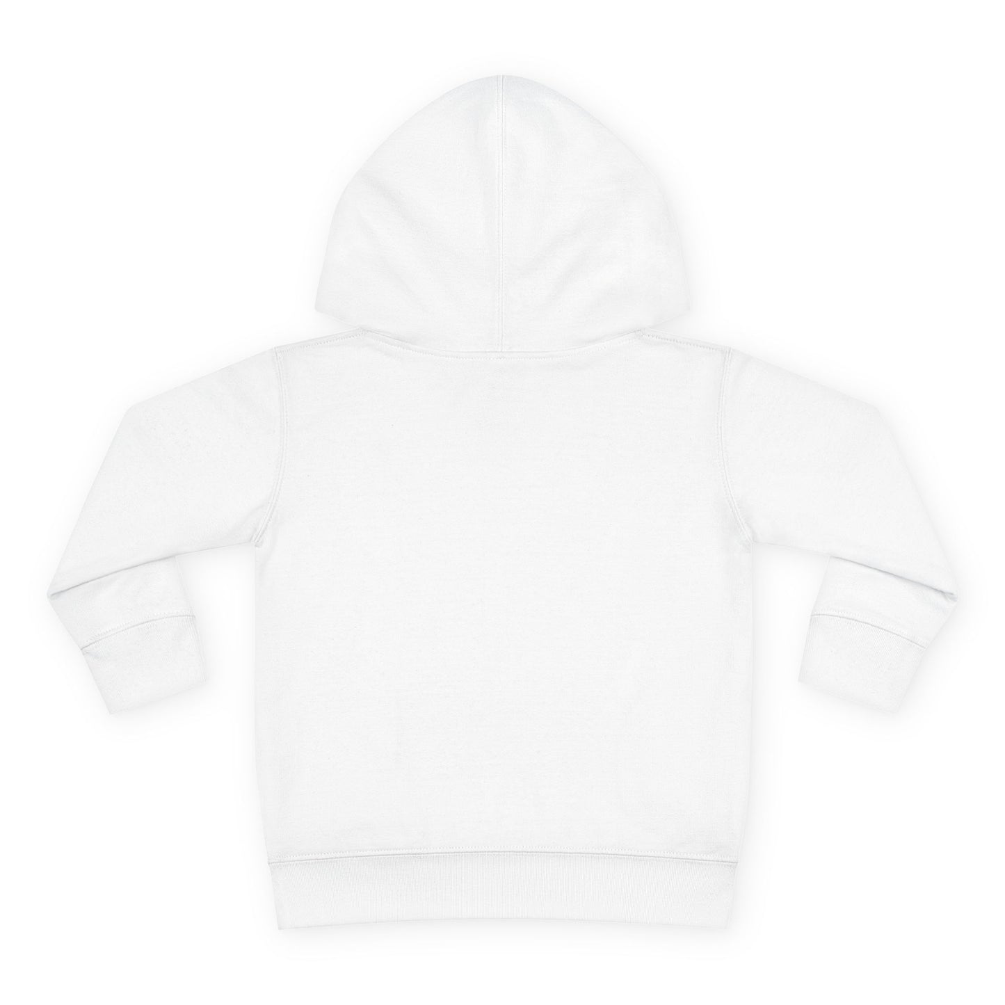 Birthday Boy's Brother Toddler Hoodie