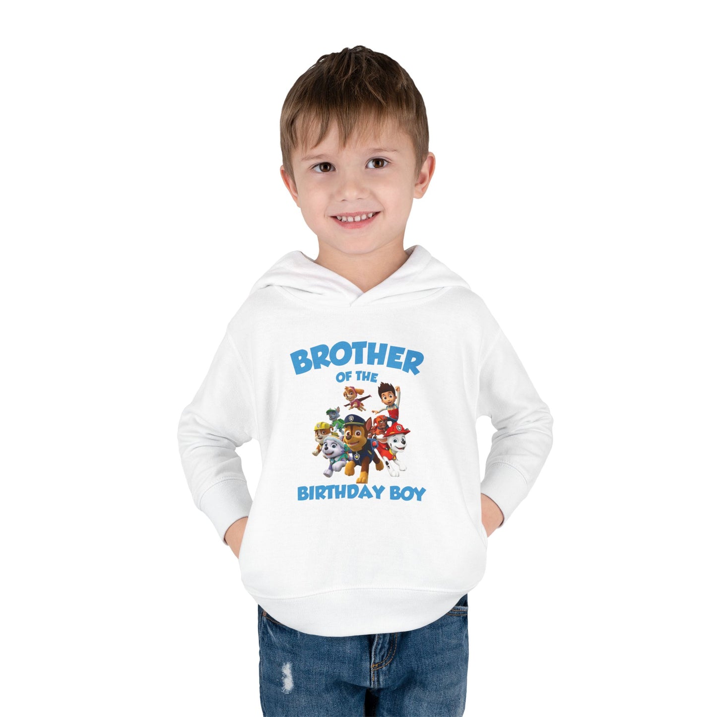 Birthday Boy's Brother Toddler Hoodie