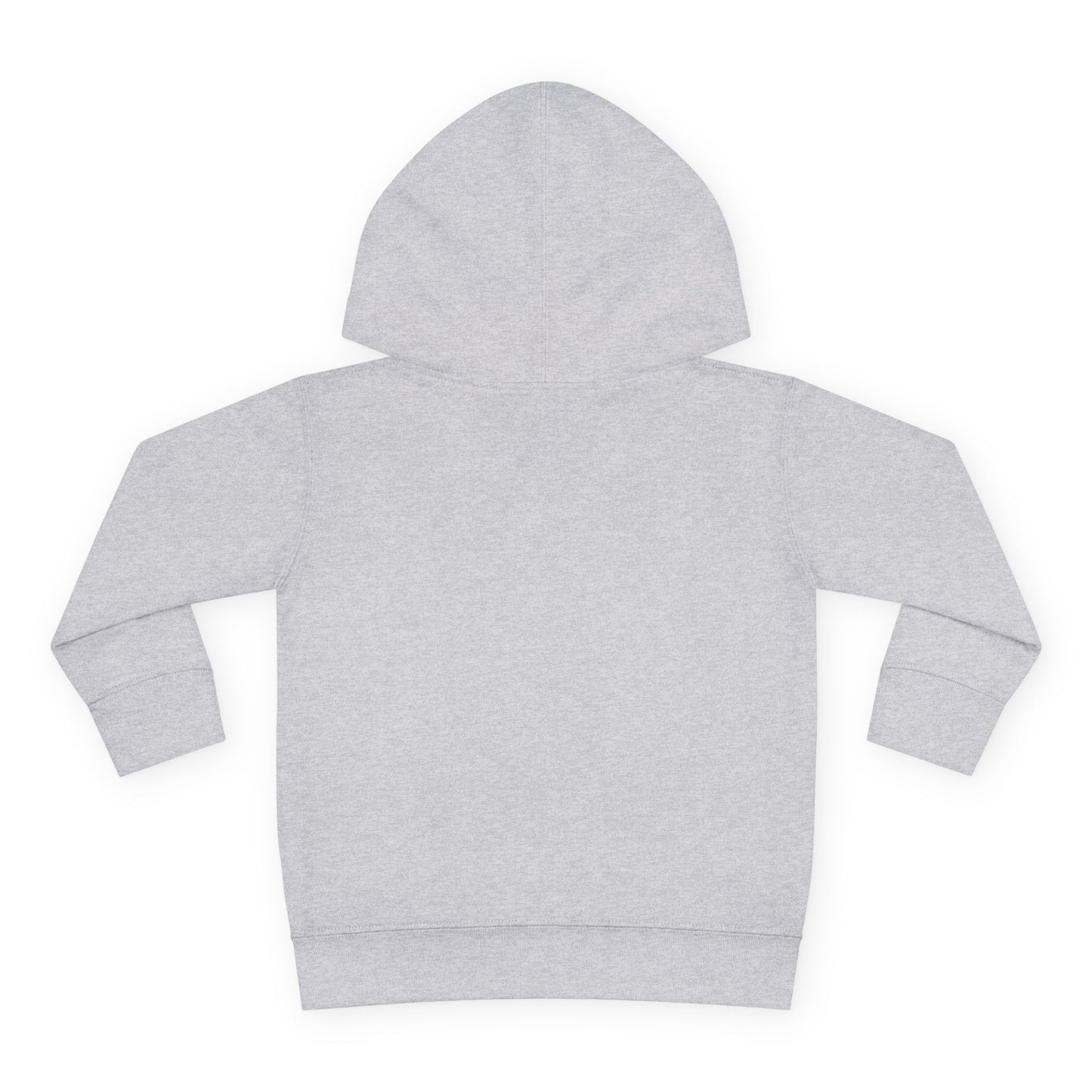 Birthday Boy's Brother Toddler Hoodie