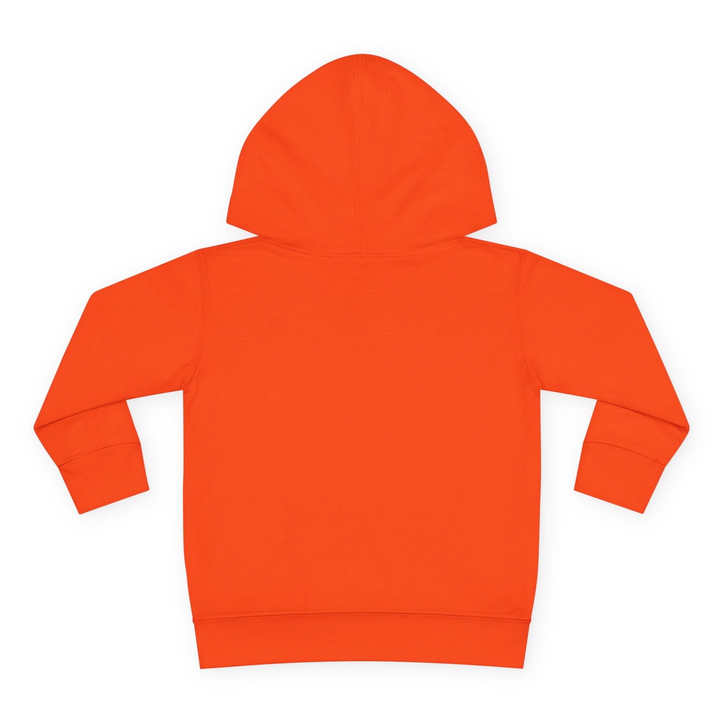 Birthday Boy's Brother Toddler Hoodie