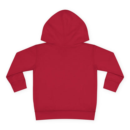 Birthday Boy's Brother Toddler Hoodie