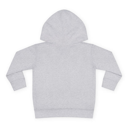 Birthday Boy's Brother Toddler Hoodie